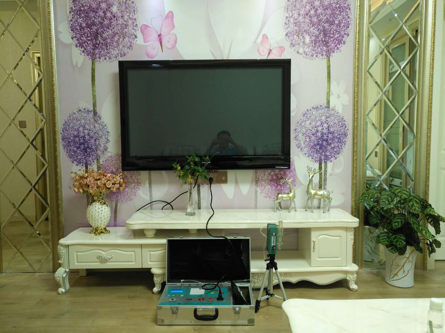 武漢市嘉凈鴻環(huán)?？萍加邢薰? style=