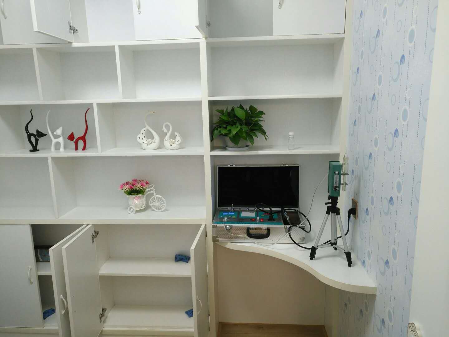 武漢市嘉凈鴻環(huán)?？萍加邢薰? style=