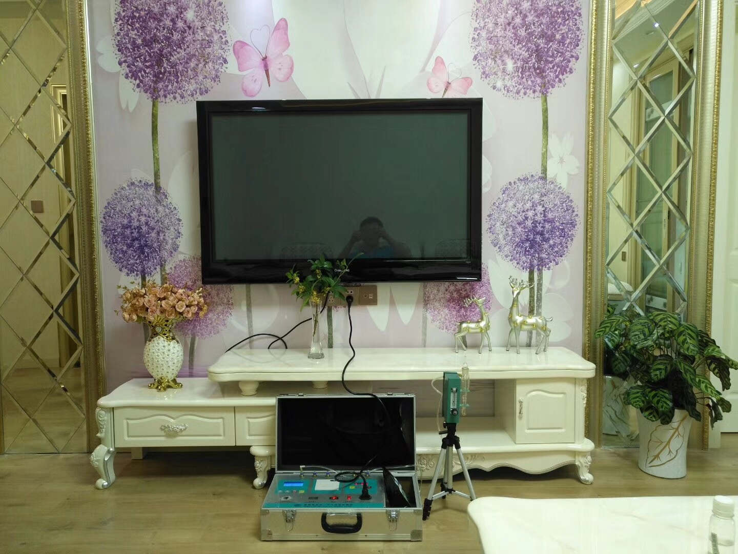 武漢市嘉凈鴻環(huán)?？萍加邢薰? style=