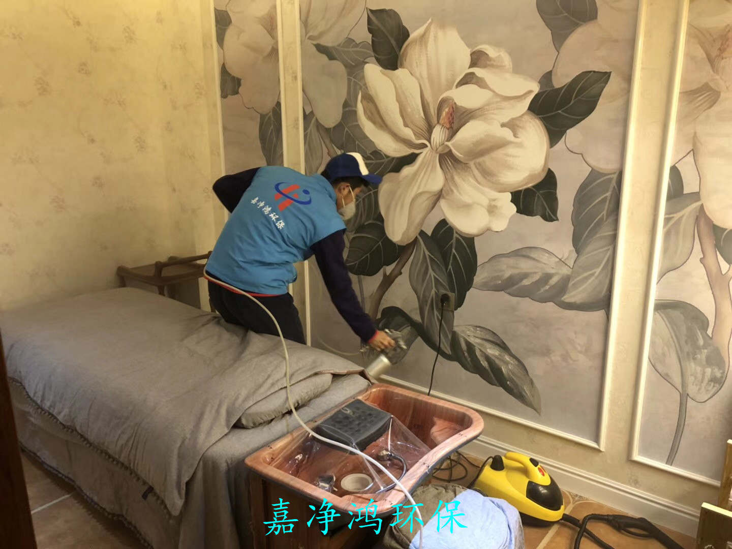 武漢市嘉凈鴻環(huán)?？萍加邢薰? style=