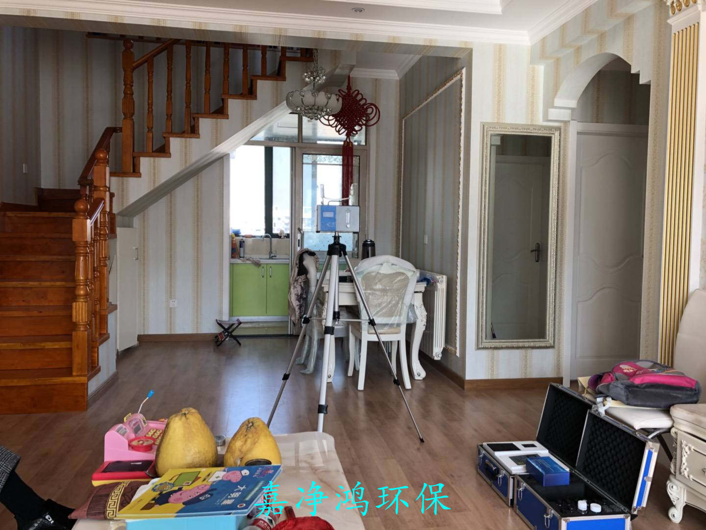 武漢市嘉凈鴻環(huán)?？萍加邢薰? style=