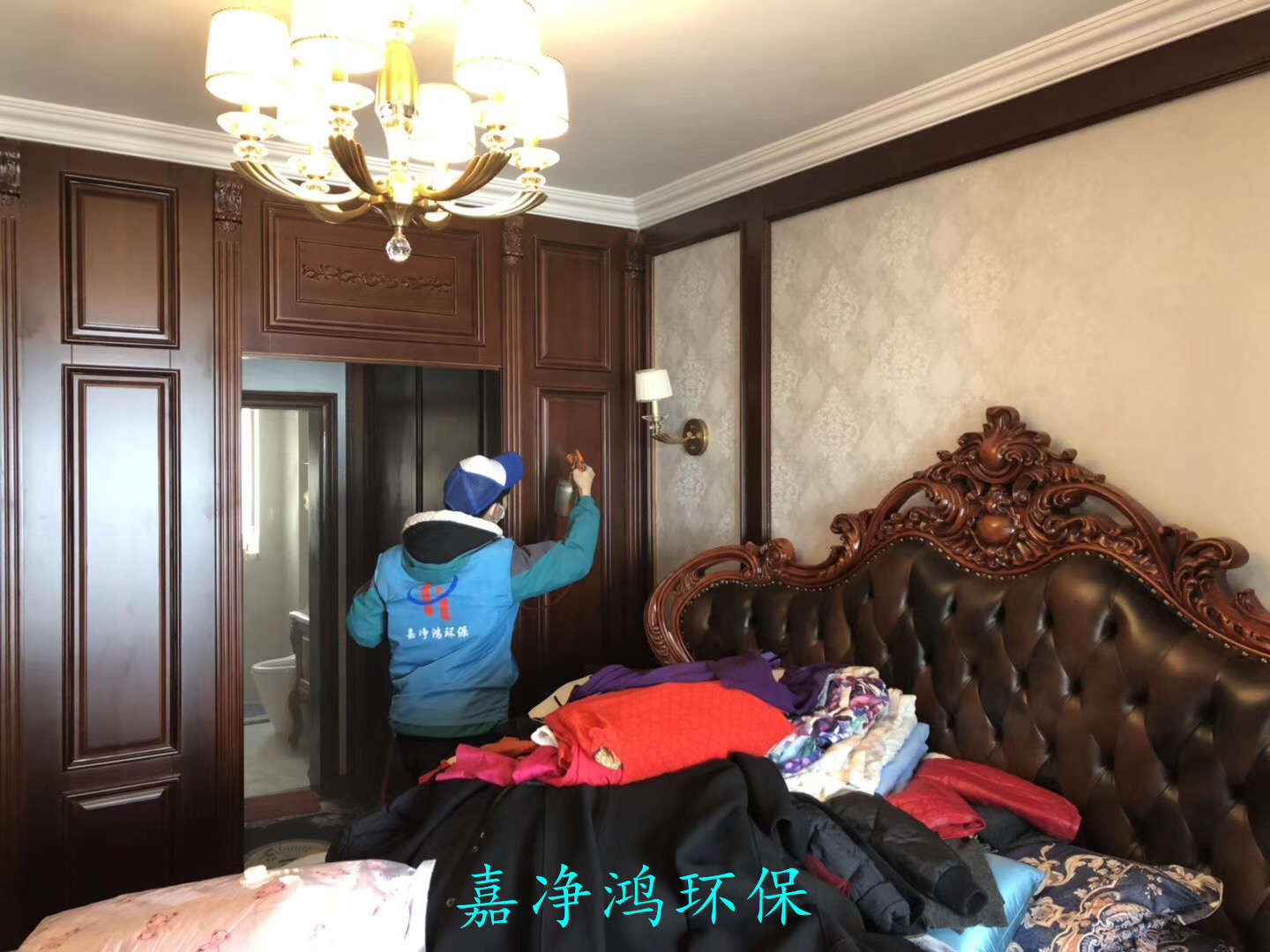 武漢市嘉凈鴻環(huán)?？萍加邢薰? style=