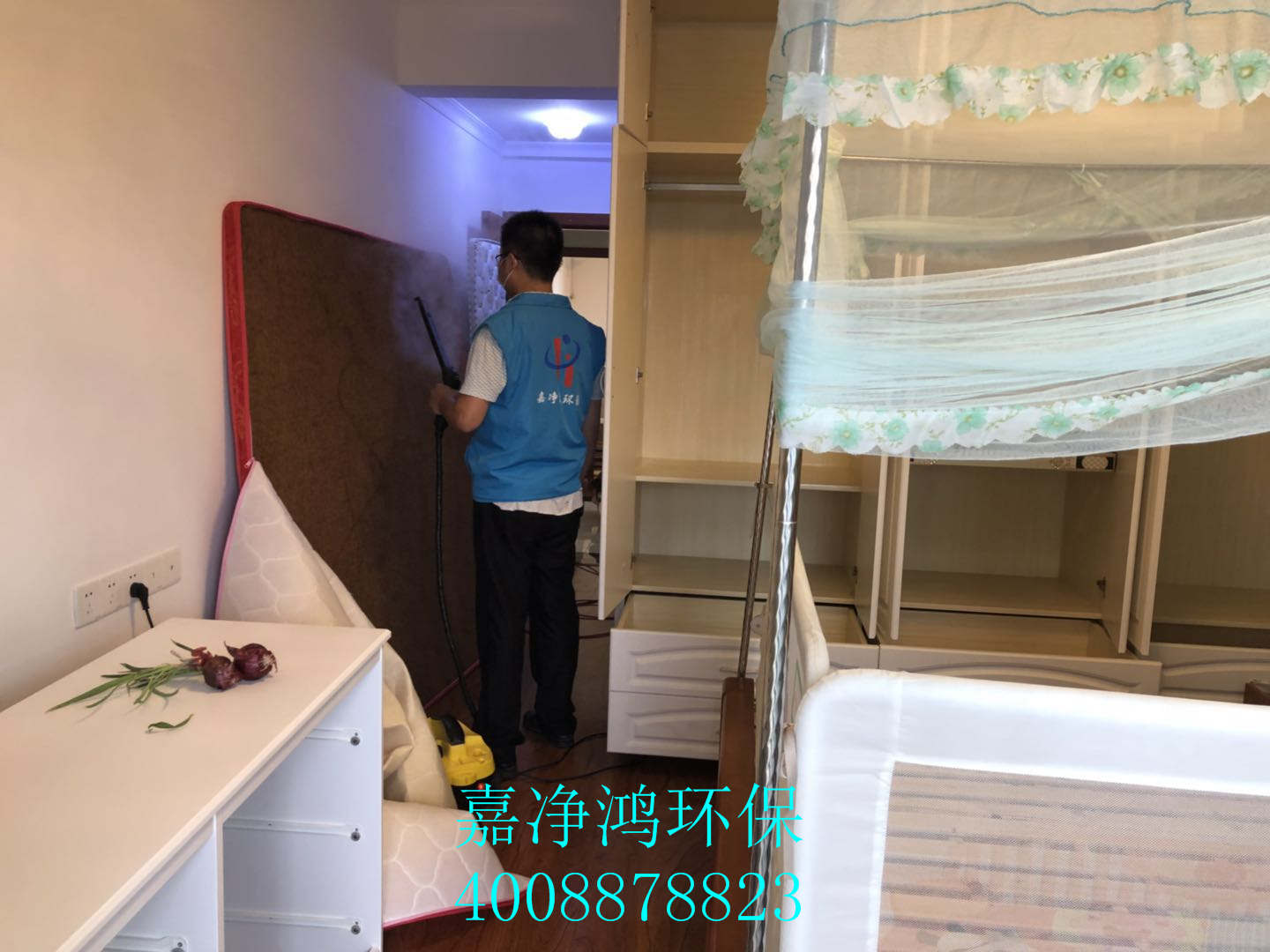 武漢市嘉凈鴻環(huán)?？萍加邢薰? style=