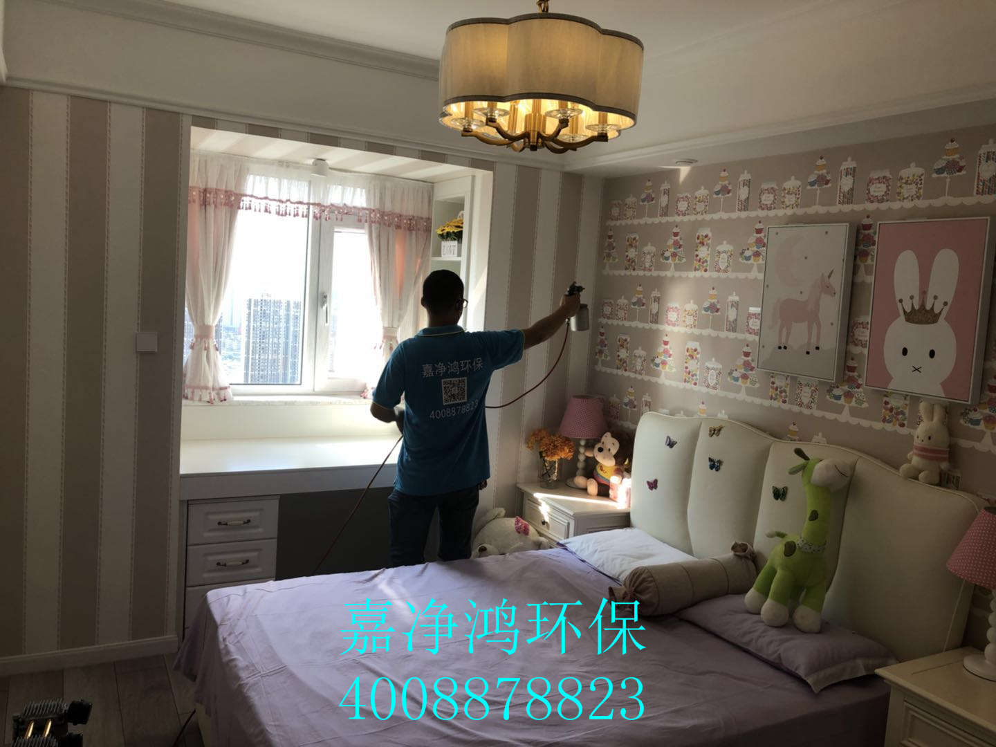 武漢市嘉凈鴻環(huán)?？萍加邢薰? style=