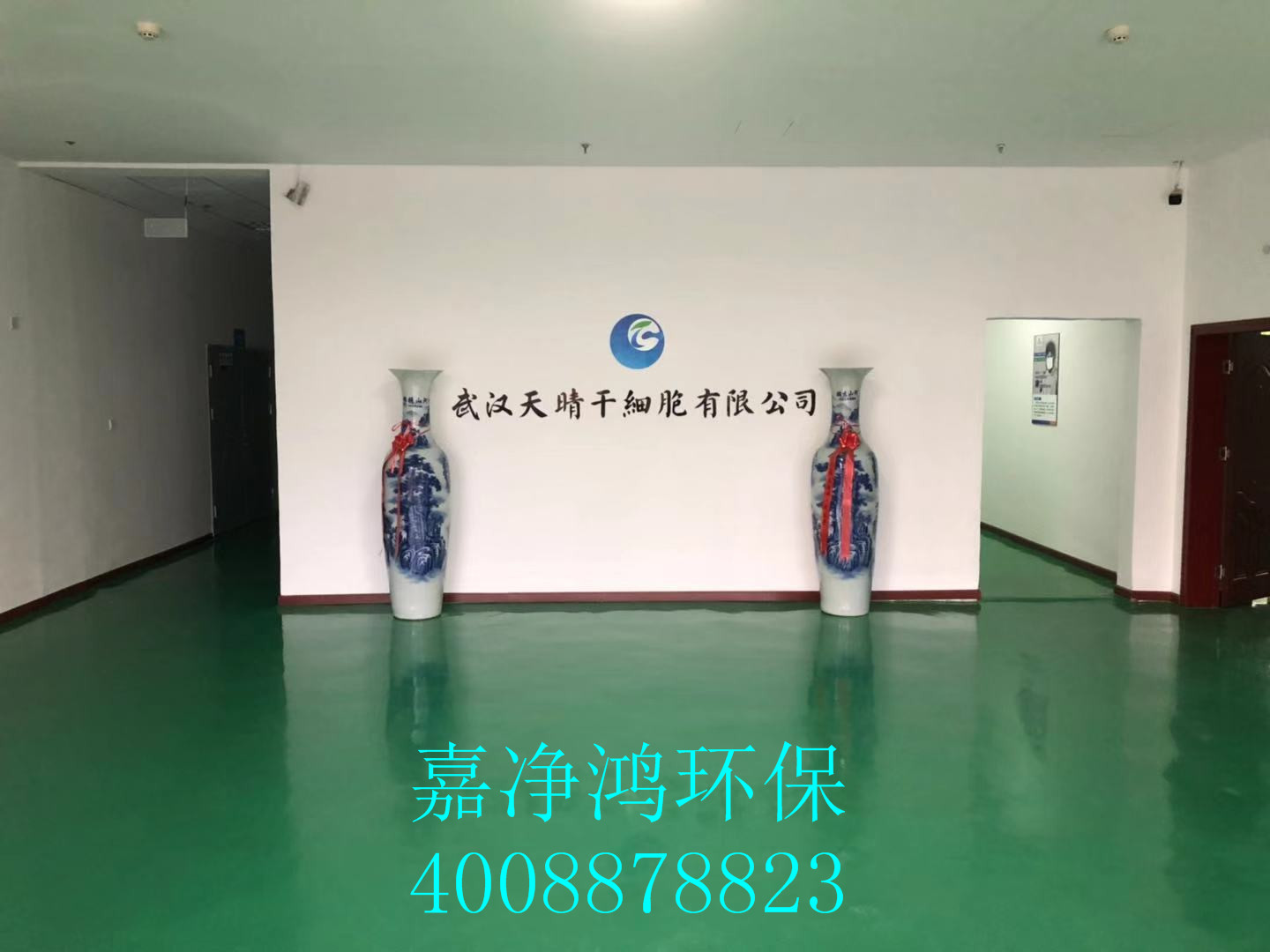 武漢市嘉凈鴻環(huán)?？萍加邢薰? style=